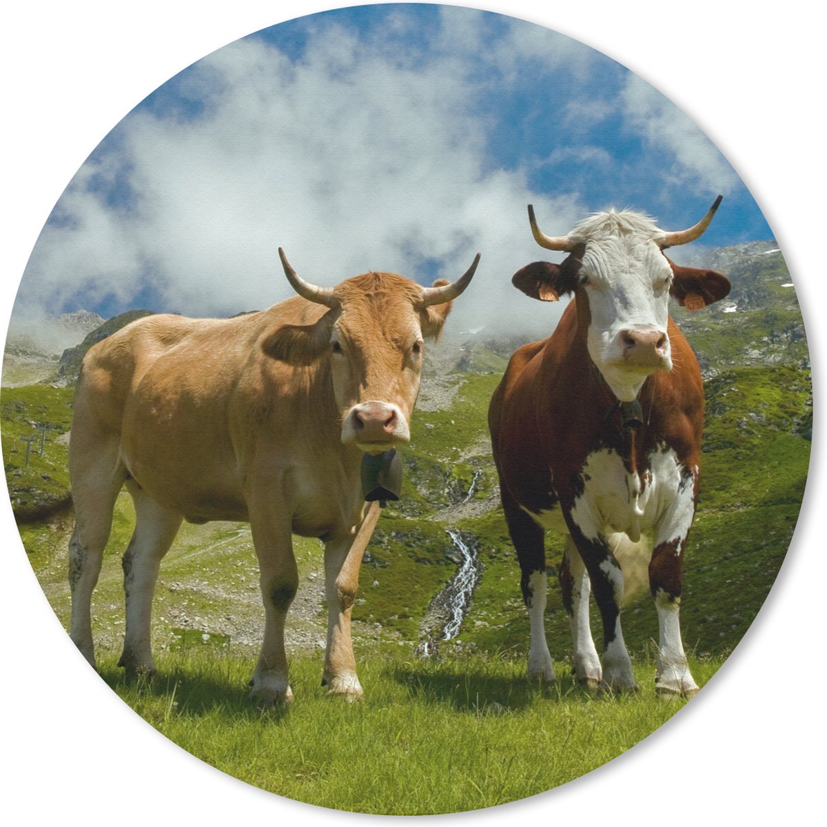 Muismat rond 40x40 cm - Mousepad Alpen - Koeien - Gras - Ronde muismatten