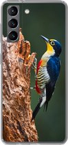 Geschikt voor Samsung Galaxy S21 hoesje - Close-up van een kleurrijke vogel op de zijkant van een boomstronk - Siliconen Telefoonhoesje