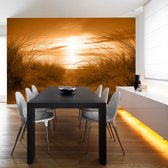 Zelfklevend fotobehang - Strand in Sepia, 8 maten, premium print