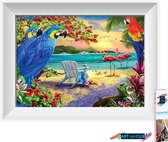 Artstudioclub™  Diamond painting volwassenen 30*40cm  papagaai