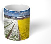 Mok - Landschap met witte en gele tulpen - 350 ML - Beker