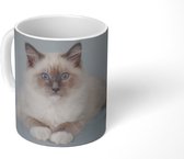 Mok - Koffiemok - Kat - Ragdoll Kat - Blauw - Meisjes - Kinderen - Jongens - Kindje - Mokken - 350 ML - Beker - Koffiemokken - Theemok