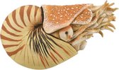 speeldier prehistorie Nautilus 10 cm ABS beige