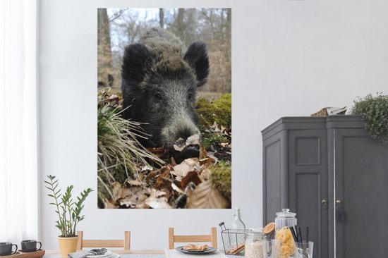 Le sanglier se trouve dans la forêt 120x180 cm XXL / Groot format!