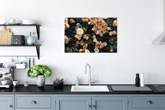 Affiche Rosier - Fleurs - Feuilles - 60x40 cm