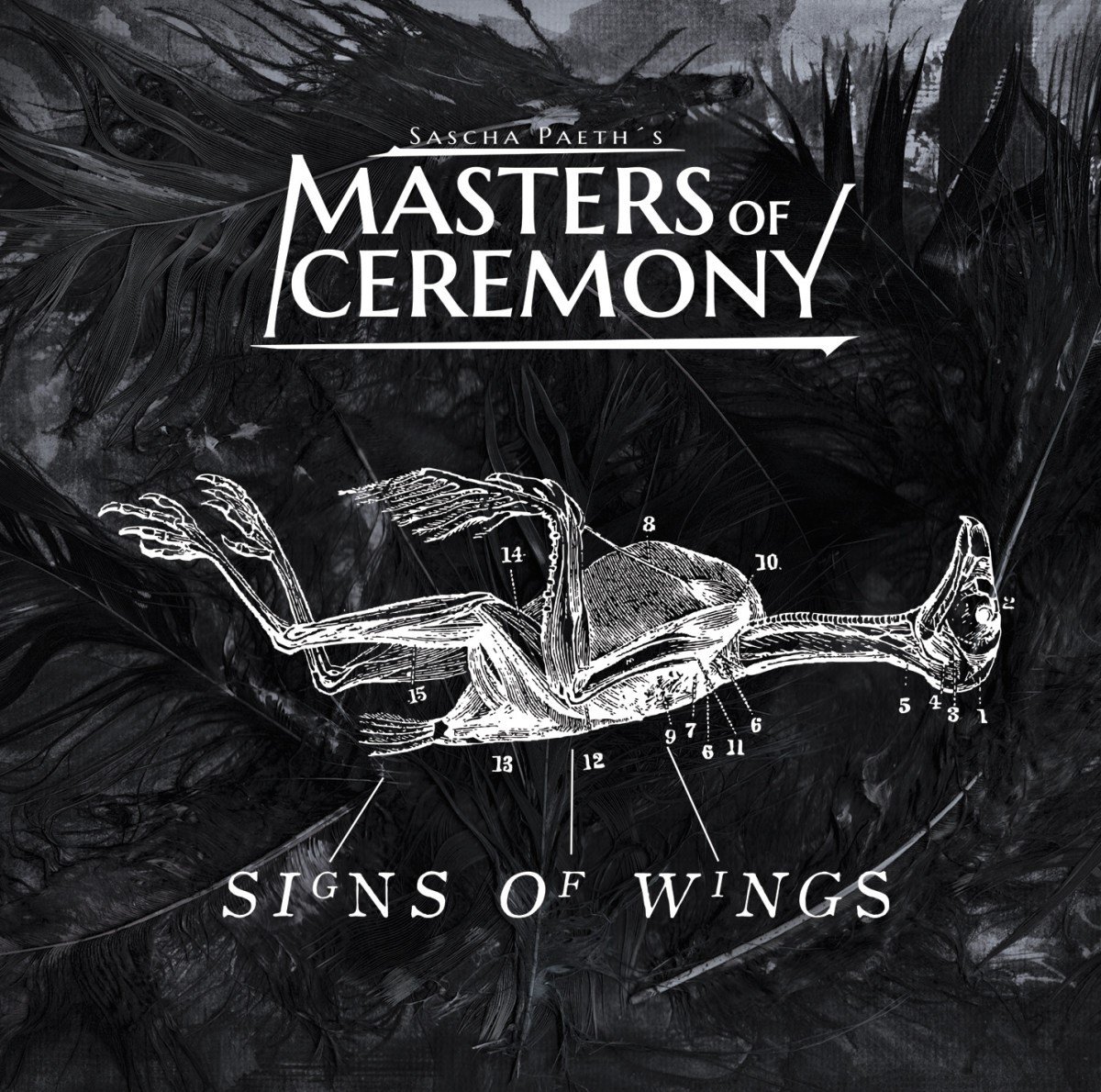 Sascha Paeth's Masters Of Ceremony - Signs Of Wings (CD)