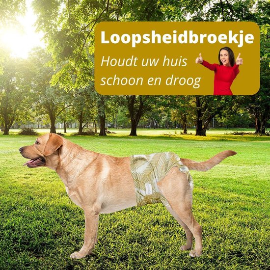 Loopsheidbroekje hond – gouden palmprint – maat XXL – voor grote teefjes – herbruikbaar – hondenbroekje – hondenluier – loopsheid – ongesteldheid – voorkomt ongewenste zwangerschappen bij teefjes – milieuvriendelijk – verantwoord – perfecte pasvorm