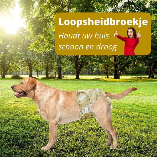 Loopsheidbroekje Hond – Gouden Palmprint – Maat Xxl – Voor Grote Teefjes – Herbruikbaar – Hondenbroekje – Hondenluier – Loopsheid – Ongesteldheid – Voorkomt Ongewenste Zwangerschappen Bij Teefjes – Milieuvriendelijk – Verantwoord – Perfecte Pasvorm