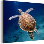 Tortue de mer Aluminium 30x20 cm - petit - Tirage photo sur aluminium (décoration murale en métal)