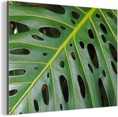 Wanddecoratie Metaal - Aluminium Schilderij Industrieel - Impressie van een groen en botanisch blad - 80x60 cm - Dibond - Foto op aluminium - Industriële muurdecoratie - Voor de woonkamer/slaapkamer