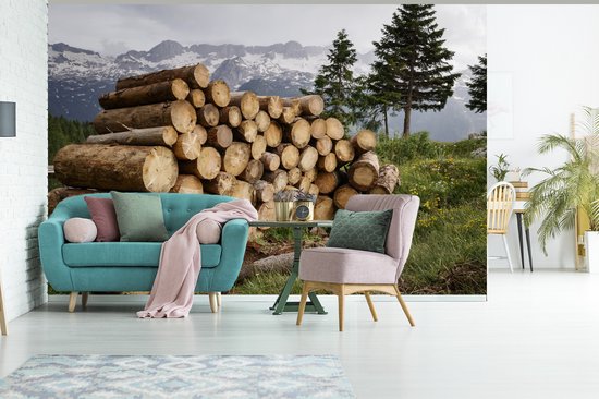 Papier fotobehang Plusieurs troncs d'arbres sont empilés dans un paysage de montagne enneigé