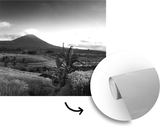 Papier peint - Papier peint Papier peint photo Rizières et volcans en Indonésie - noir et blanc - Largeur 220 cm x hauteur 220 cm
