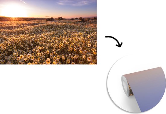 Champ de fleurs vallonné au crépuscule 330x220 cm
