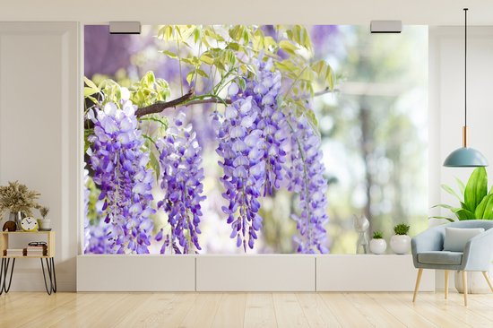 Behang - Fotobehang Blauwe regen in bloei - Breedte 420 cm x hoogte 280 cm