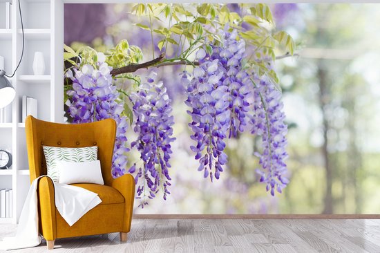 Behang - Fotobehang Blauwe regen in bloei - Breedte 420 cm x hoogte 280 cm