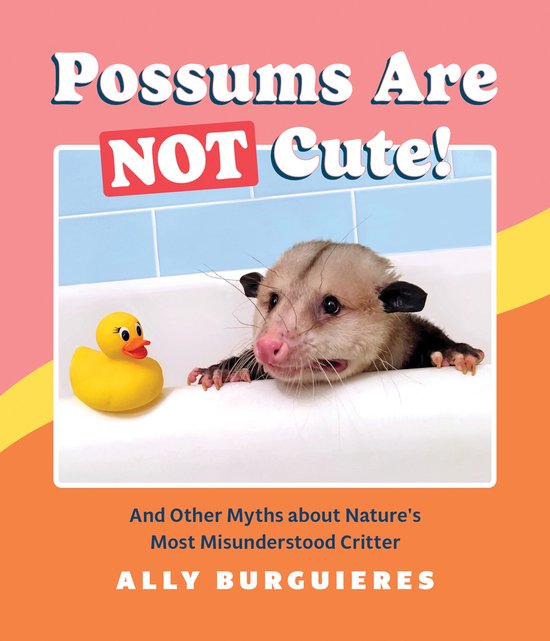 Possums Are Not Cute - cover