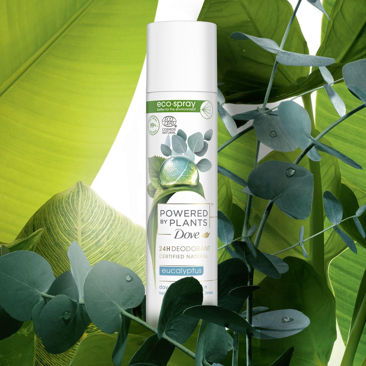 Dove Powered by Plants Deodorant - Eucalyptus - 48 uur bescherming - 75ml |  bol