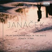 Zoltan Fejervari - Janacek: On An Overgrown Path, In The Mists, Sonat (CD)