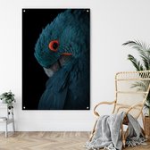 Papegaai schilderij – Op aluminium dibond, 90x60cm inclusief ophangsysteem – Dibond schilderij - Dibond - Muurdecoratie - Wanddecoratie – Schilderij – Papegaai schilderij – Vogel s