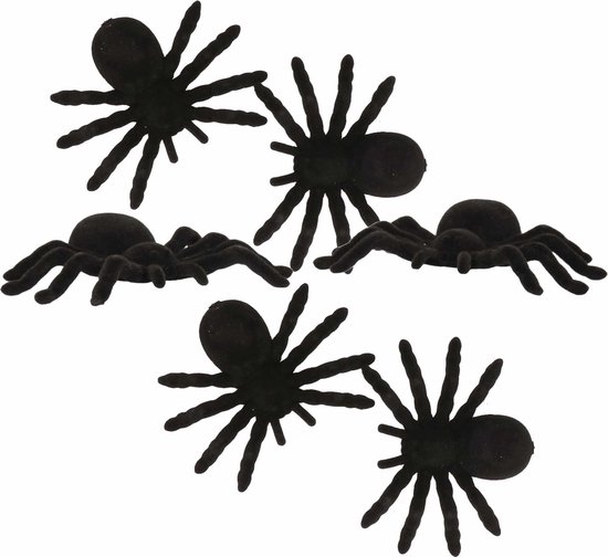 Spinnenweb Met Spinnen aanbieding bij Zeeman
