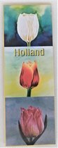Koelkast magneet Holland, drie geschilderde kleurige tulpen