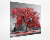 Rode boom 60x60, Canvas schilderij 100% katoen uitgerekt op het frame van hoge kwaliteit, muurhanger geïnstalleerd, Wanddecoratie.