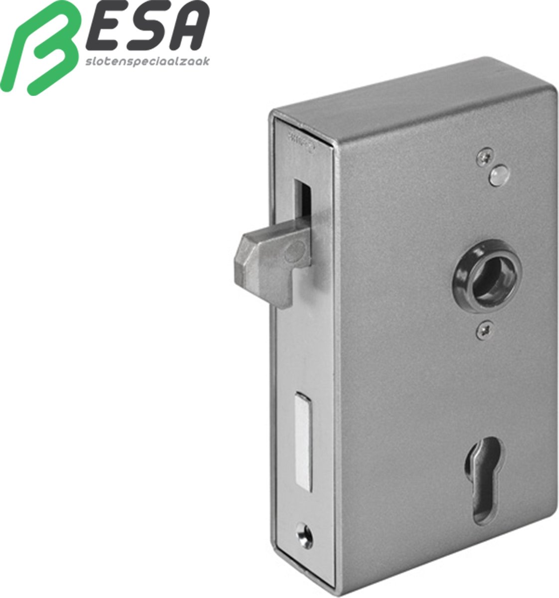 AMF 13649 schuifpoortslot met haak + Huis 140SNIG-40PZW VoorPlaat: 33mm