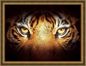 Daimond Painting kit Tiger Look  40x30 cm