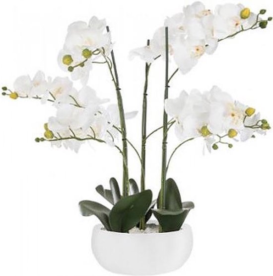 KUNST ORCHIDEE - Orcidee bloem -WIT -  WITTE KERAMISCHE POT - HOOGTE 65 CM