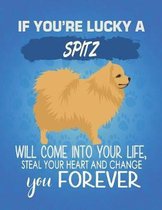 If You're Lucky A Spitz Will Come Into Your Life, Steal Your Heart And Change You Forever