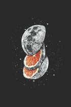 Composition Notebook: Lunar Fruit Print Wide Ruled Paper Notebook Journal - Wide Blank Lined Workbook for Teens Kids Students for Home Schoo
