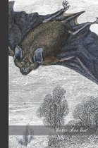 Horse shoe Bat: small lined Bat Notebook / Travel Journal to write in (6'' x 9'') 120 pages