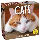 Cats 2021 Calendar