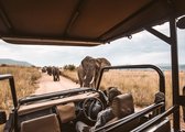 Poster Afrikaanse Safari met Olifanten - Zuid-Afrika - 50x70 cm - Jungle - Kinderkamer