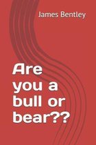 Are you a Bull or Bear: Notes on my portfolio.
