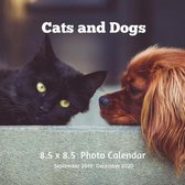 Cats and Dogs 8.5 X 8.5 Photo Calendar September 2019 -December 2020