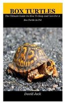 Box Turtles: The Ultimate Guide On How To Keep And Care For A Box Turtle As Pet