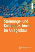 Stroemungs und Kolbenmaschinen im Anlagenbau