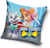 Paw Patrol Skye & Everest kussen – sierkussen | gevuld 38x38cm