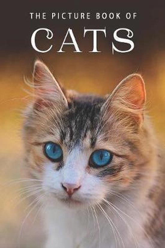 Picture Books - Animals-The Picture Book of Cats - cover