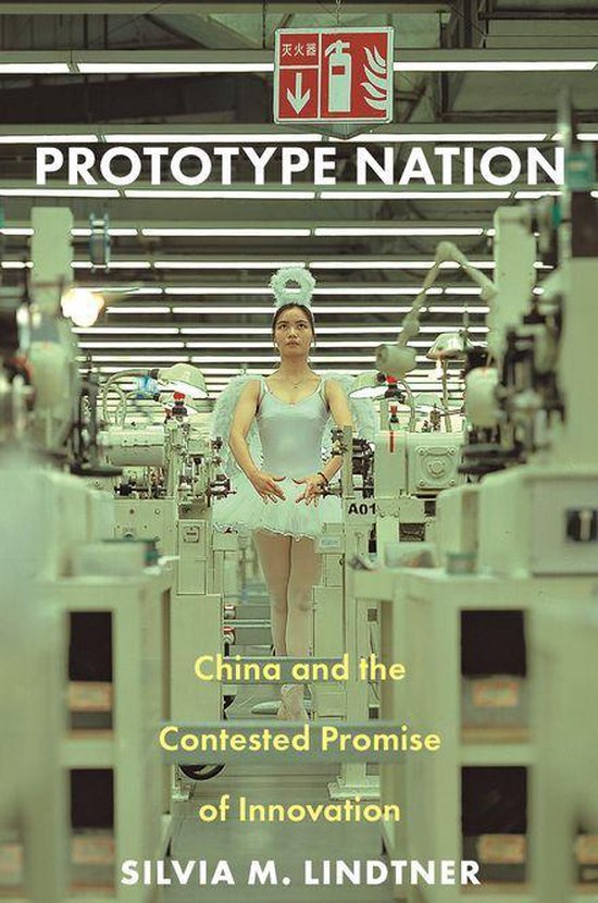 Princeton Studies in Culture and Technology - Prototype Nati ... - cover