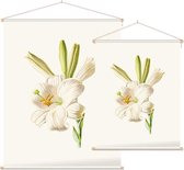 Madonnalelie (White Lily) - Foto op Textielposter - 45 x 60 cm