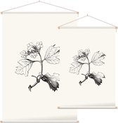 Gelderse Roos zwart-wit (Guelder Rose) - Foto op Textielposter - 40 x 60 cm