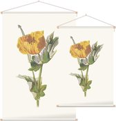 Gele Hoornpapaver (Yellow Horned Poppy) - Foto op Textielposter - 90 x 135 cm