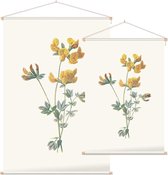 Gewone Rolklaver (Birds Foot Trefoil) - Foto op Textielposter - 90 x 135 cm