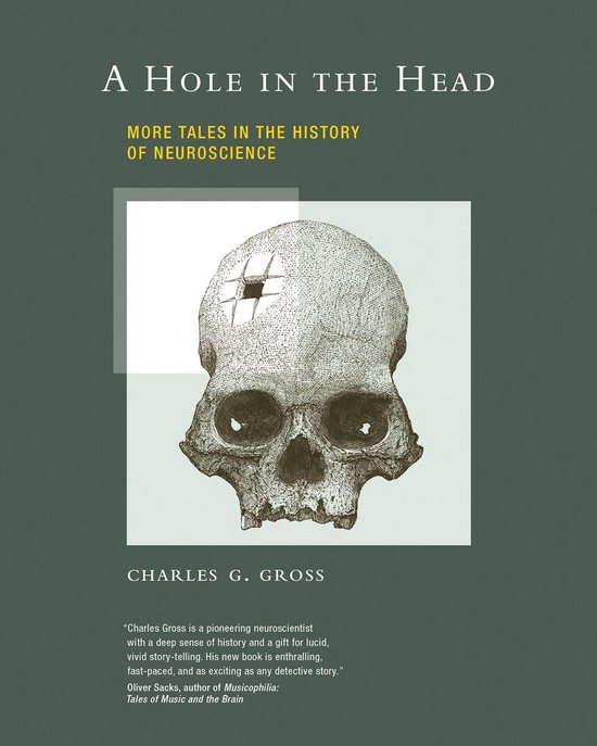A Hole in the Head - cover