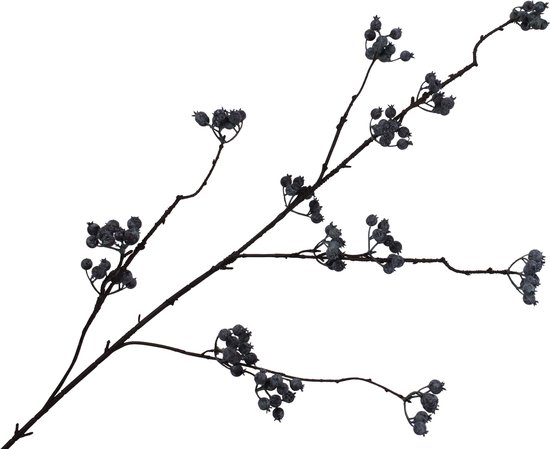 Silk-ka