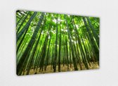 Bamboo Grove 80x60 cm, Canvas schilderij uitgerekt op het frame, 100% katoen, Wanddecoratie