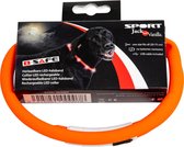 Hondenhalsband - LED halsband - Kleur: Oranje - Afmeting: 20-75cm
