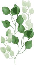 Schilderen op nummer Volwassenen - Minimalistisch - Bladeren - 40x50CM - Volwassenen